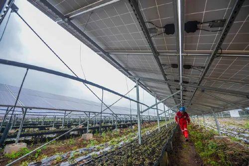 中國(guó)十三省最大光伏電站在這里！欽州康熙嶺的光伏電站能排上號(hào)了嗎？